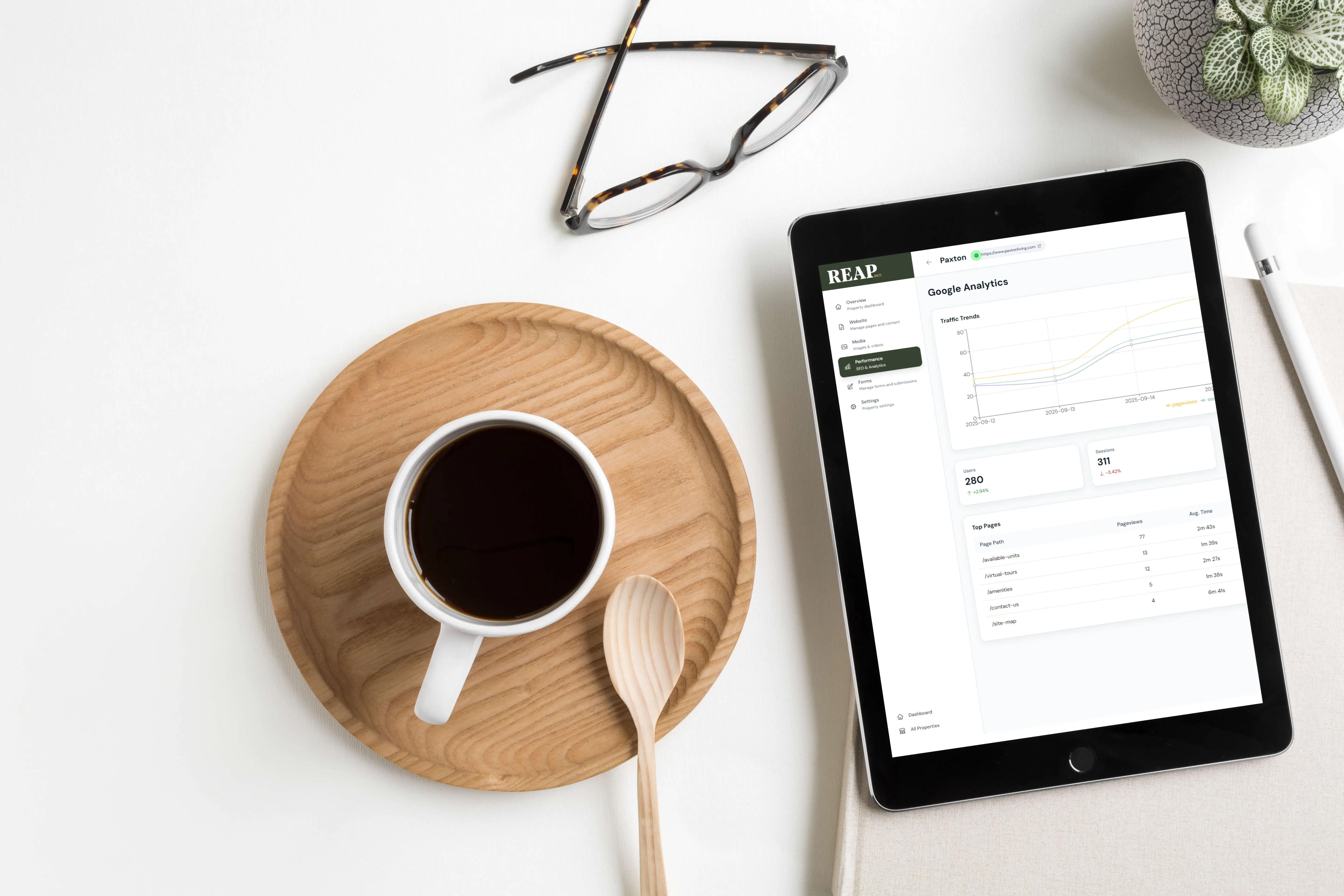 Dashboard - Analytics View